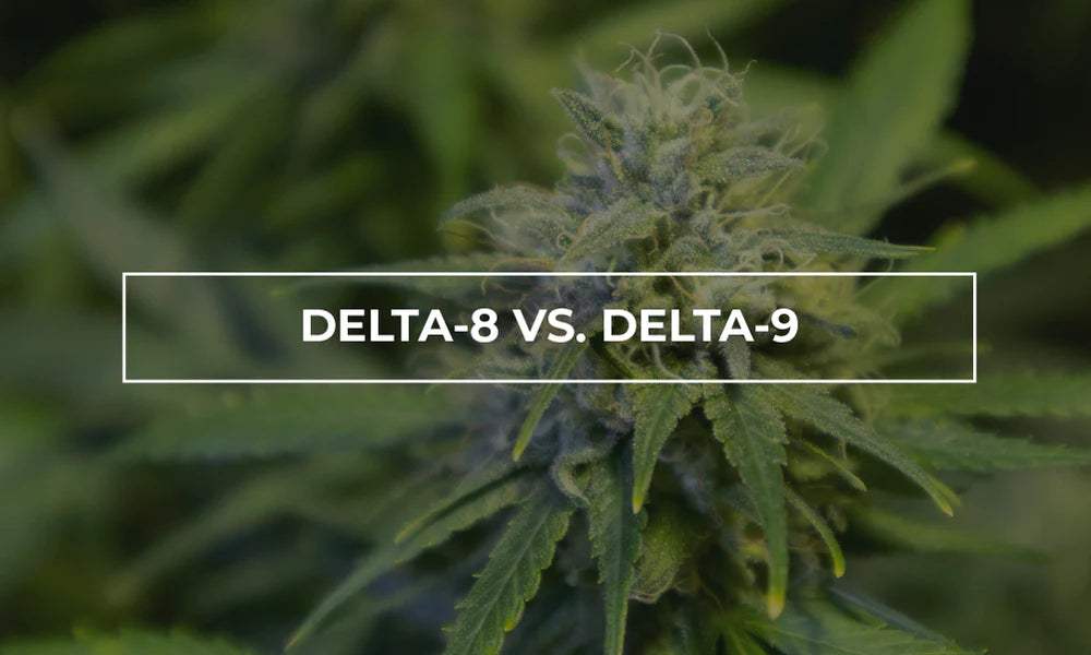 Delta-8 vs. Delta-9 vs. THCP: Understanding the Key Differences - Texas Freedom
