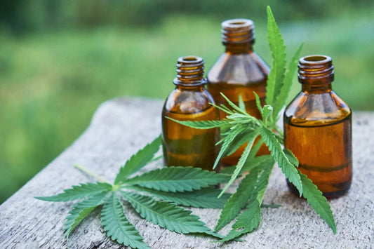 Everything You Need to Know About CBD Oil: Benefits, Uses, and Tips - Texas Freedom