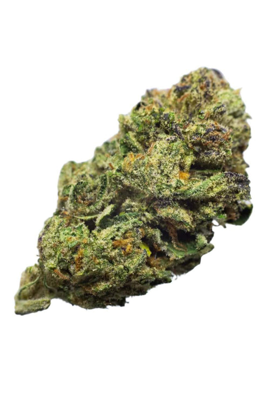 Close-up of THCA Gary Payton cannabis flower – dense, frosty green bud with purple hues and bright orange hairs, coated in crystalline trichomes, known for its potent effects and pungent, earthy aroma.